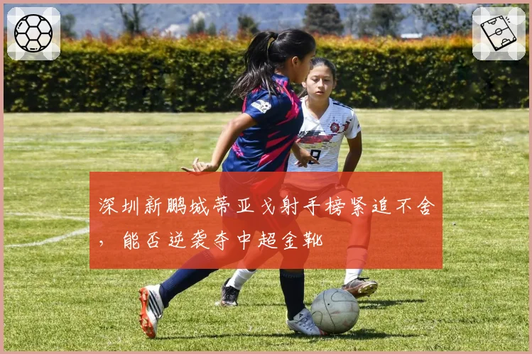 深圳新鹏城蒂亚戈射手榜紧追不舍,能否逆袭夺中超金靴